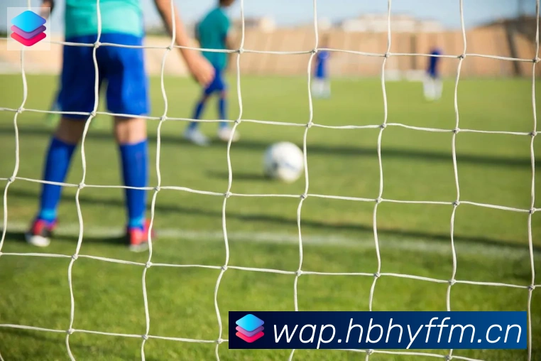 爱游戏官网荣誉