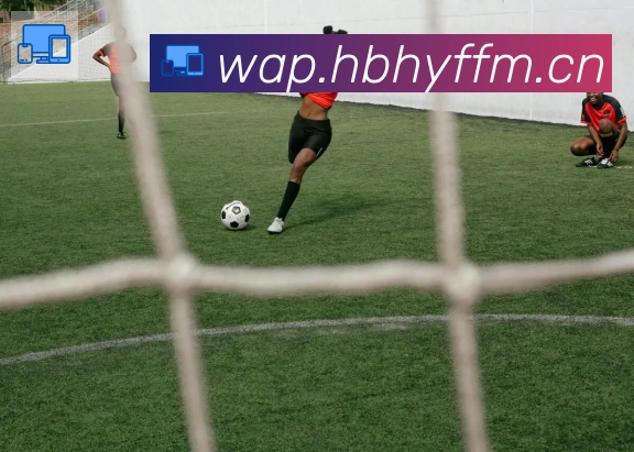 爱游戏官网荣誉