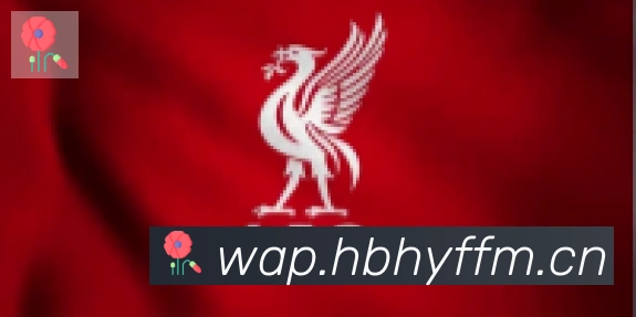 爱游戏官网合作伙伴